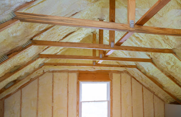 Best Eco-Friendly Insulation in Salem, SD