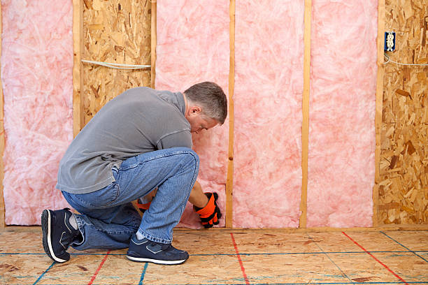 Best Residential Insulation in Salem, SD
